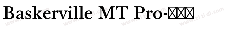 Baskerville MT Pro字体转换